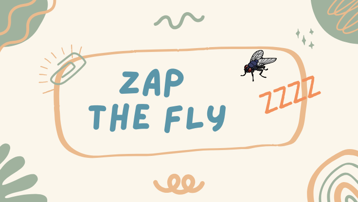 Zap the Fly - Zap as many flies as you can in 30 seconds